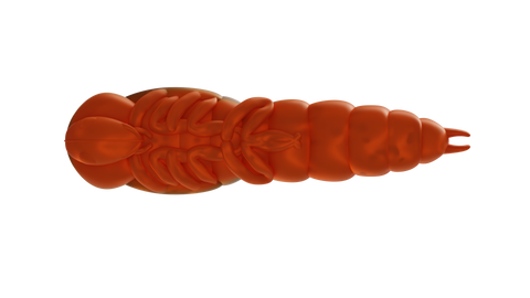 Lively Larva 40mm │ Pumpkin Orange